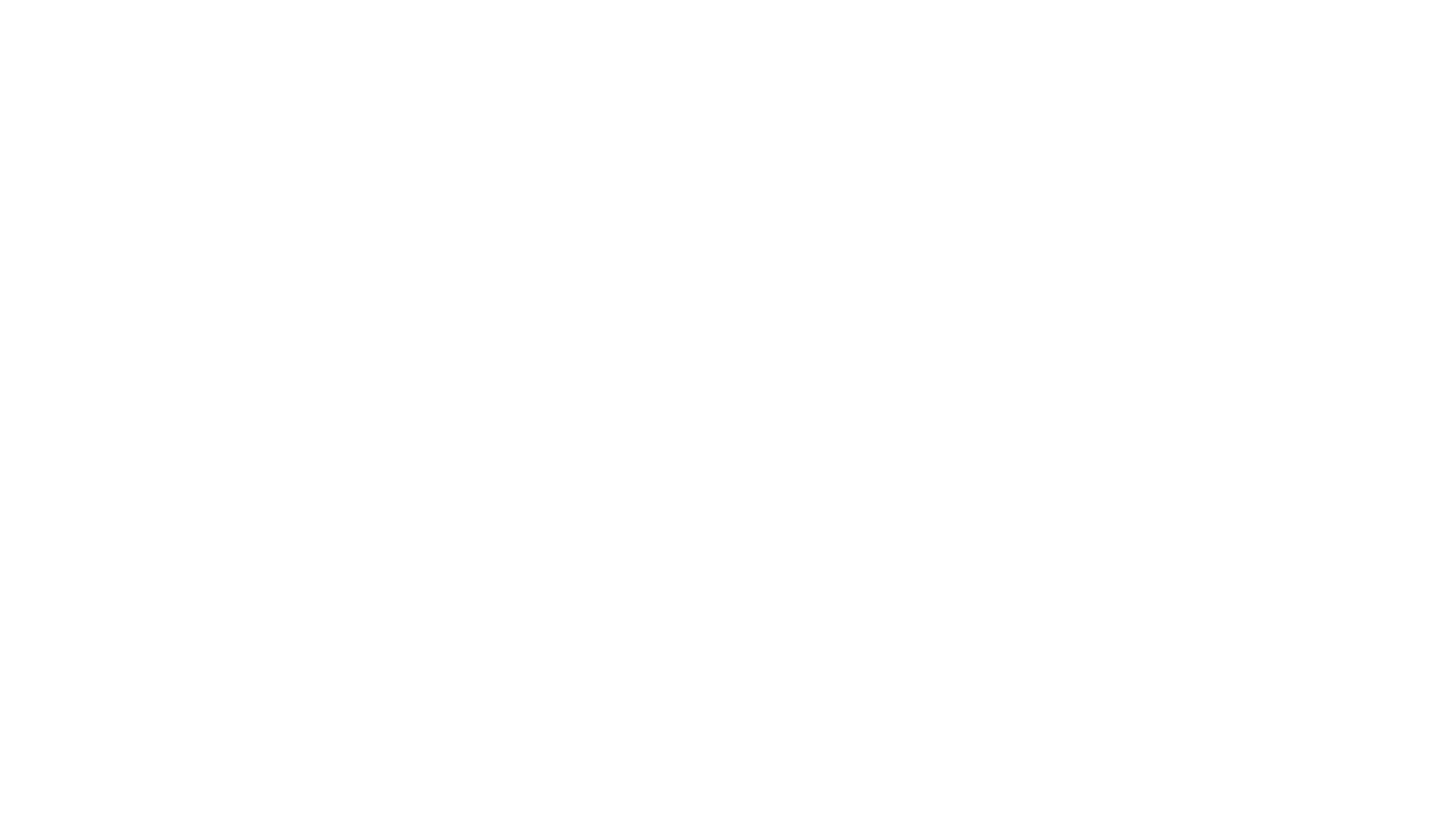 Raflo_logo-bianco